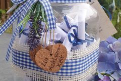 5a-blau_2
